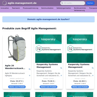 Screenshot agile-management.de