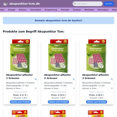 Screenshot akupunktur-tcm.de