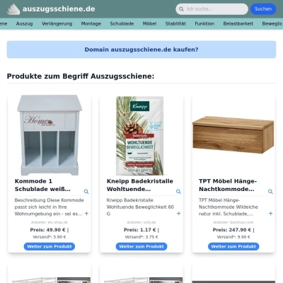 Screenshot auszugsschiene.de