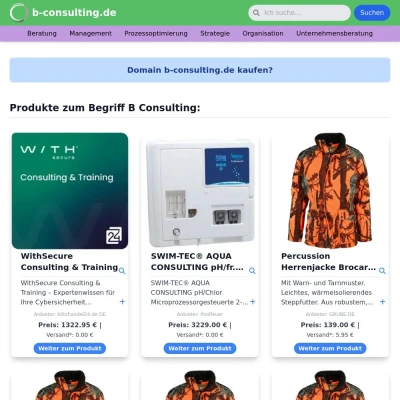 Screenshot b-consulting.de