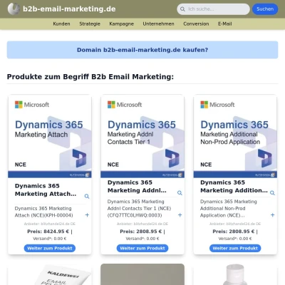 Screenshot b2b-email-marketing.de