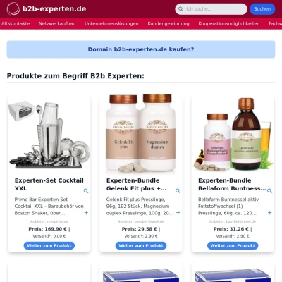 Screenshot b2b-experten.de