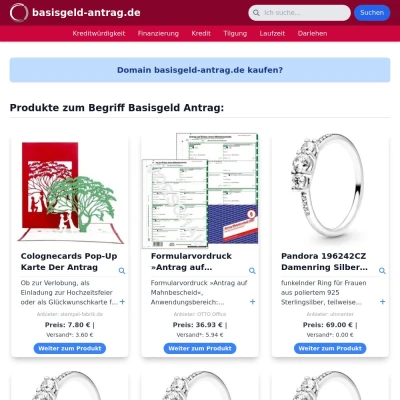 Screenshot basisgeld-antrag.de