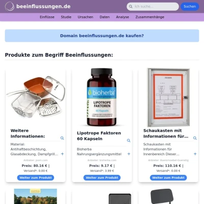 Screenshot beeinflussungen.de