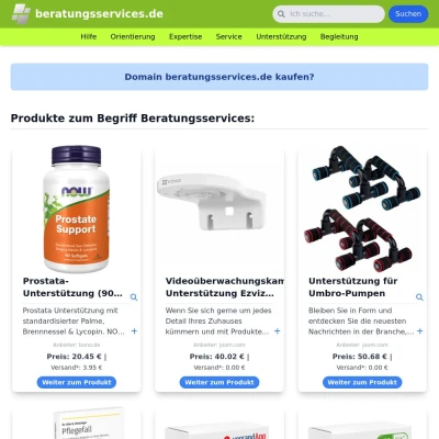 Screenshot beratungsservices.de