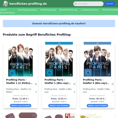 Screenshot berufliches-profiling.de