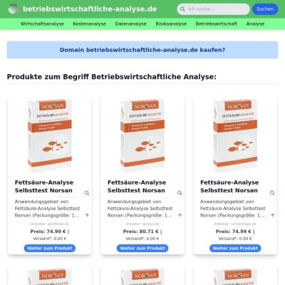 Screenshot betriebswirtschaftliche-analyse.de