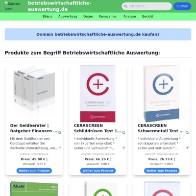 Screenshot betriebswirtschaftliche-auswertung.de