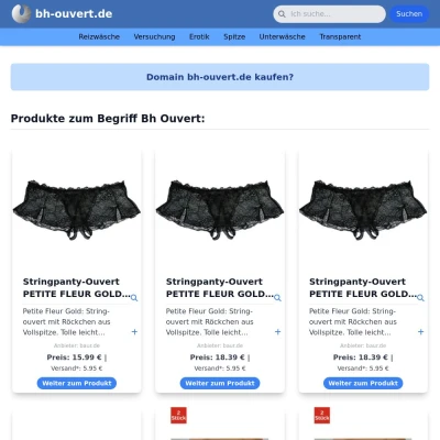 Screenshot bh-ouvert.de