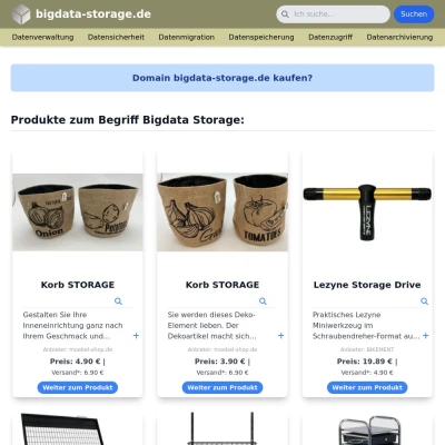 Screenshot bigdata-storage.de