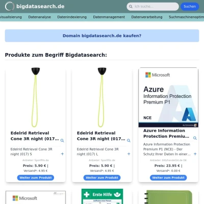 Screenshot bigdatasearch.de