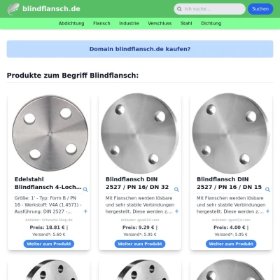 Screenshot blindflansch.de