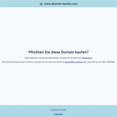 Screenshot blumen-kaufen.com