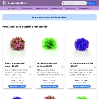 Screenshot blumenball.de