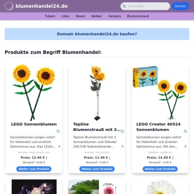 Screenshot blumenhandel24.de