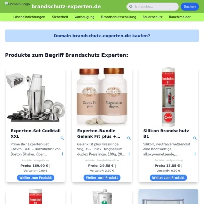 Screenshot brandschutz-experten.de