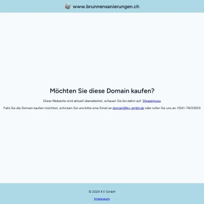 Screenshot brunnensanierungen.ch