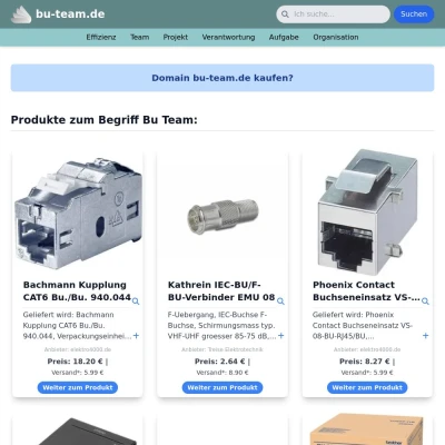 Screenshot bu-team.de