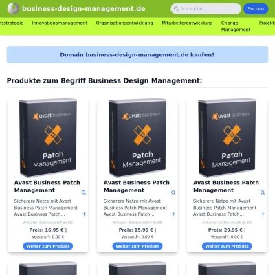 Screenshot business-design-management.de