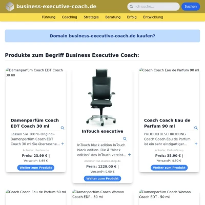 Screenshot business-executive-coach.de