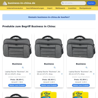 Screenshot business-in-china.de