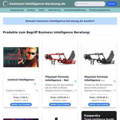 Screenshot business-intelligence-beratung.de