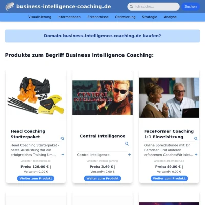 Screenshot business-intelligence-coaching.de