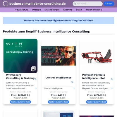 Screenshot business-intelligence-consulting.de
