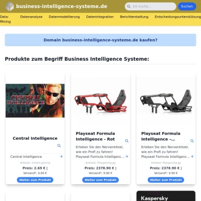 Screenshot business-intelligence-systeme.de