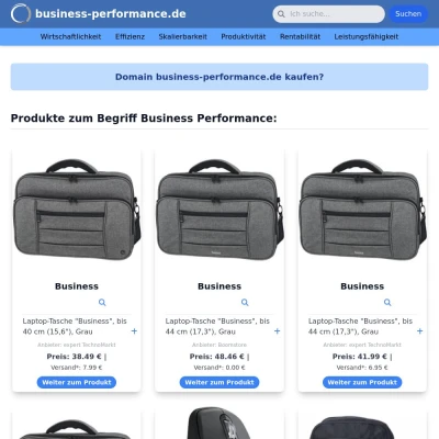 Screenshot business-performance.de