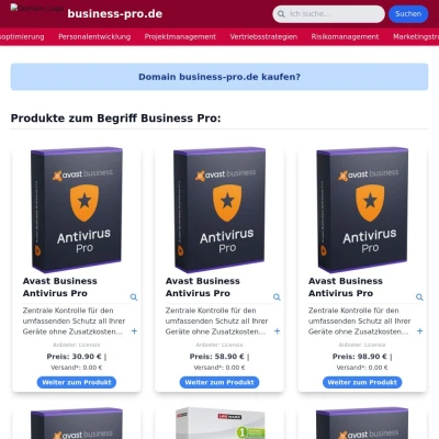 Screenshot business-pro.de