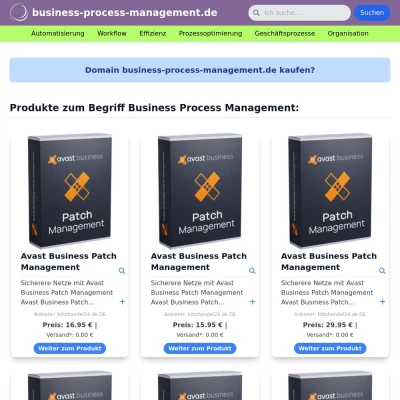 Screenshot business-process-management.de