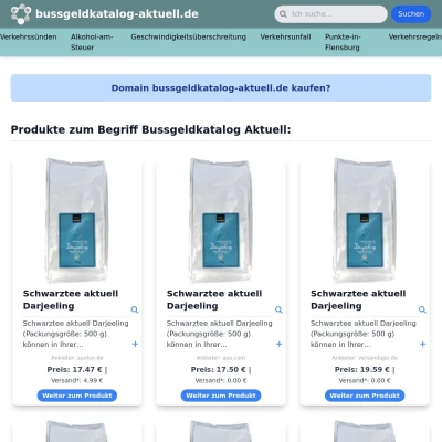 Screenshot bussgeldkatalog-aktuell.de