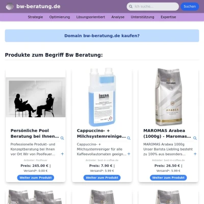 Screenshot bw-beratung.de