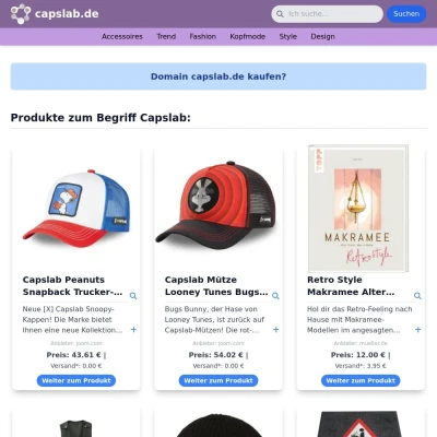 Screenshot capslab.de