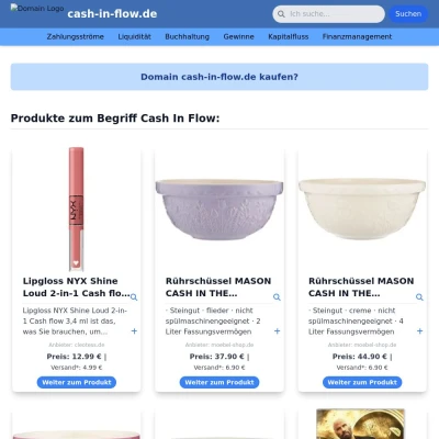 Screenshot cash-in-flow.de