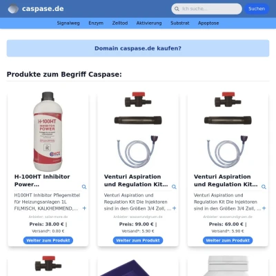 Screenshot caspase.de