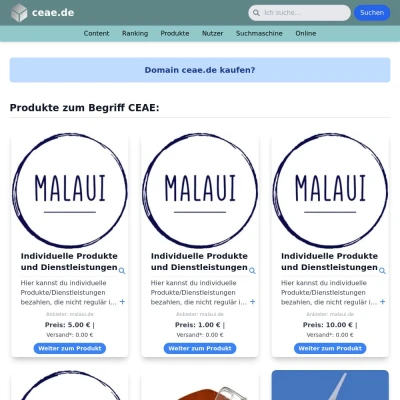 Screenshot ceae.de