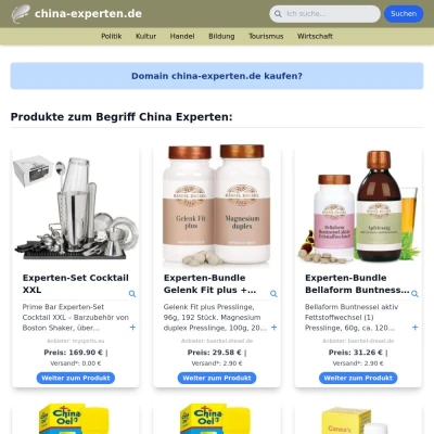 Screenshot china-experten.de