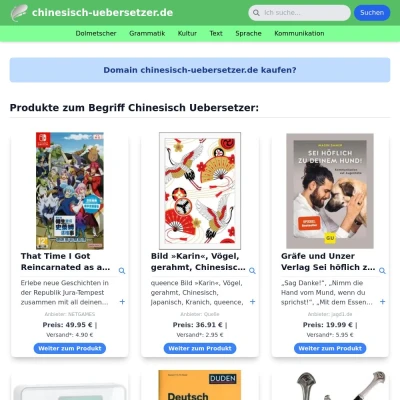 Screenshot chinesisch-uebersetzer.de