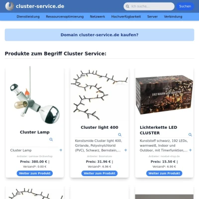 Screenshot cluster-service.de