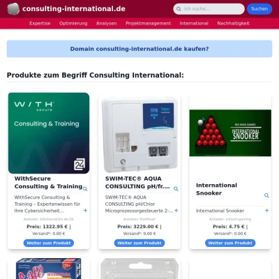 Screenshot consulting-international.de