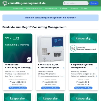 Screenshot consulting-management.de