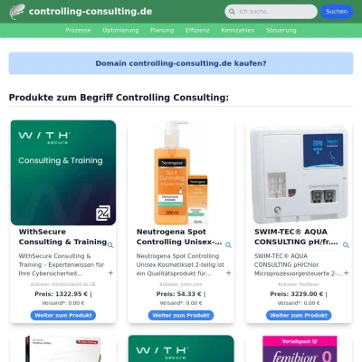 Screenshot controlling-consulting.de