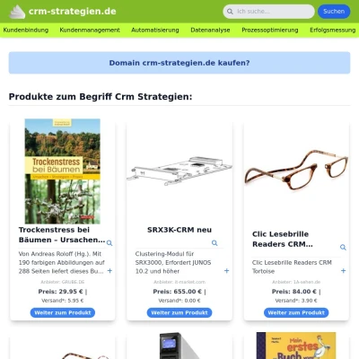 Screenshot crm-strategien.de