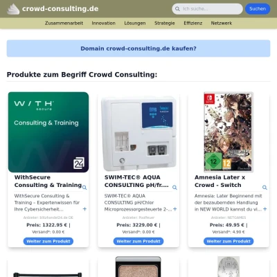 Screenshot crowd-consulting.de