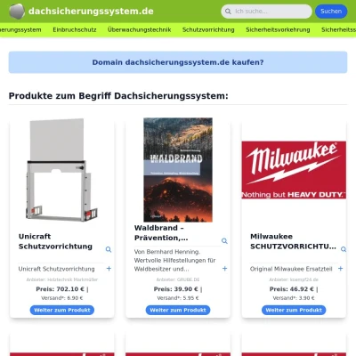 Screenshot dachsicherungssystem.de