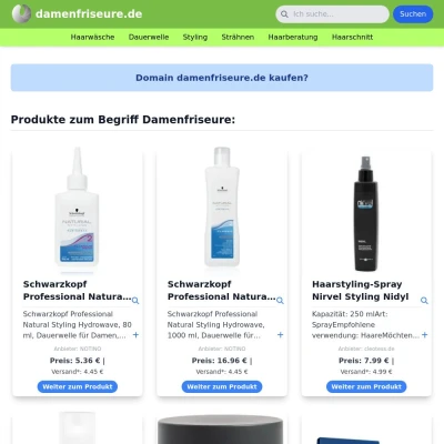 Screenshot damenfriseure.de