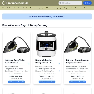 Screenshot dampfleitung.de