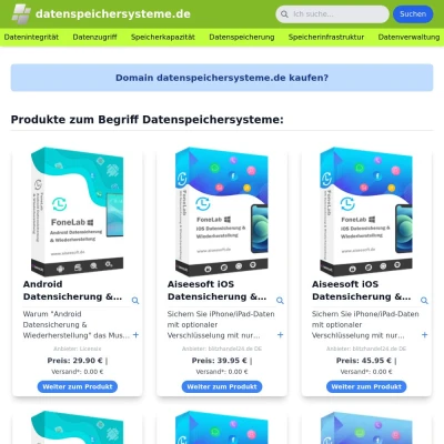 Screenshot datenspeichersysteme.de